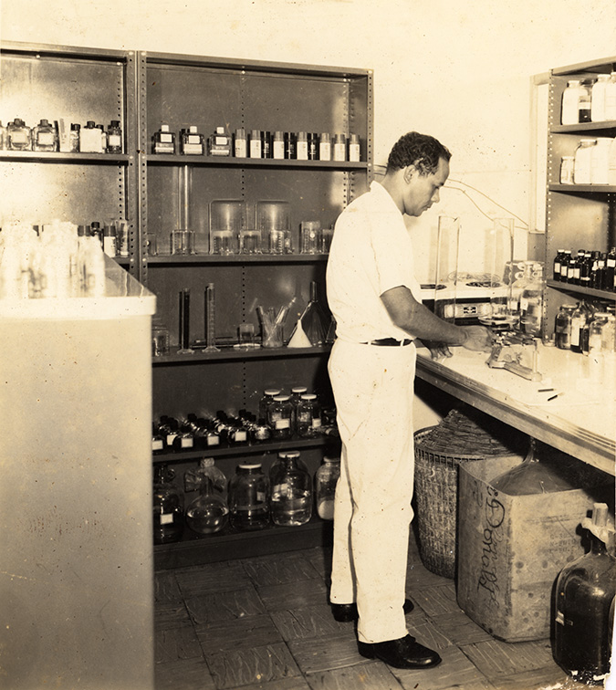 working at the lab