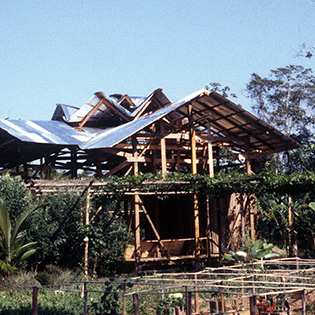 solar ventilation image