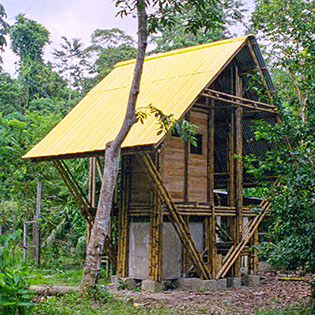 bamboo construction image